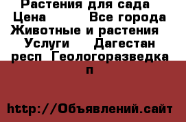 Растения для сада › Цена ­ 200 - Все города Животные и растения » Услуги   . Дагестан респ.,Геологоразведка п.